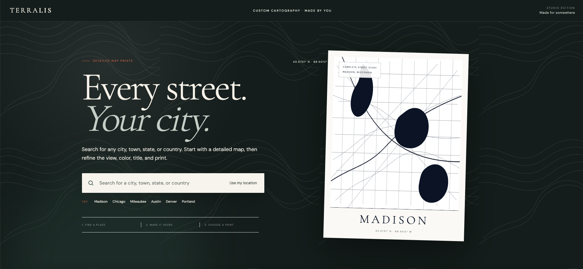 Terralis landing page preview